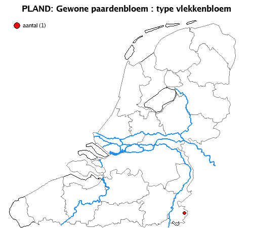 vlekkenbloem